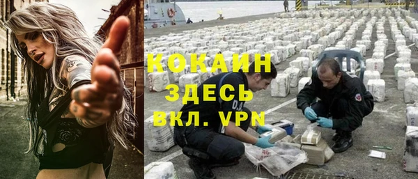 spice Алексин