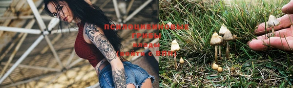 spice Алексин