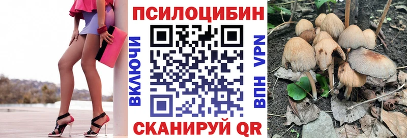 нарко площадка телеграм  закладка  Михайловск  Галлюциногенные грибы GOLDEN TEACHER 
